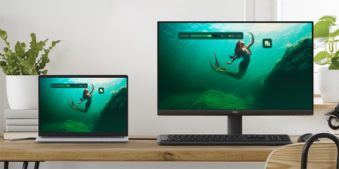 man-hinh-dell-se2425hm-8 TNC Store Màn Hình Dell SE2425HM 23.8 Inch/ FHD/ IPS/ 100Hz/ 5ms